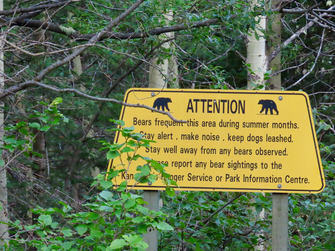 Galatea Lakes Trail-卡那那斯基斯必去景点