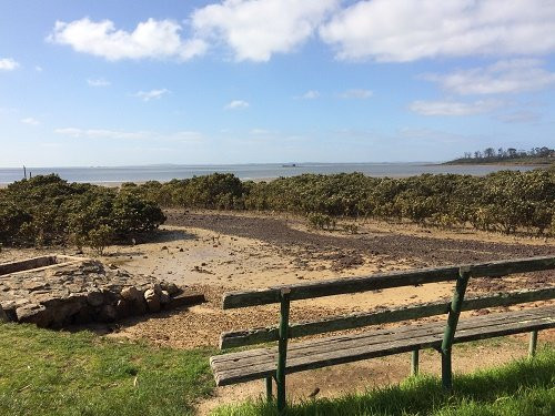 Jacks Beach Reserve景点图片
