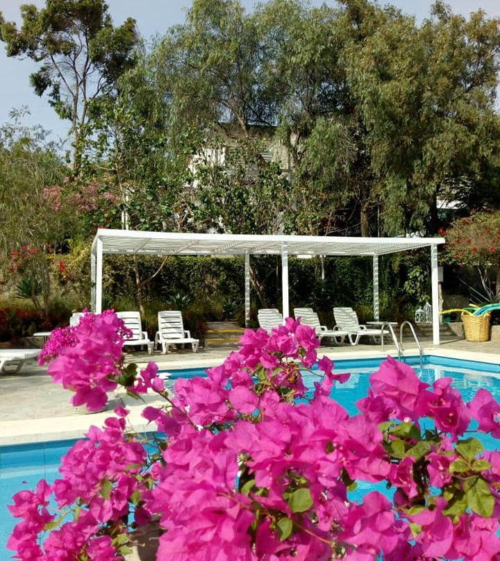 Hotel Los Palomos主图