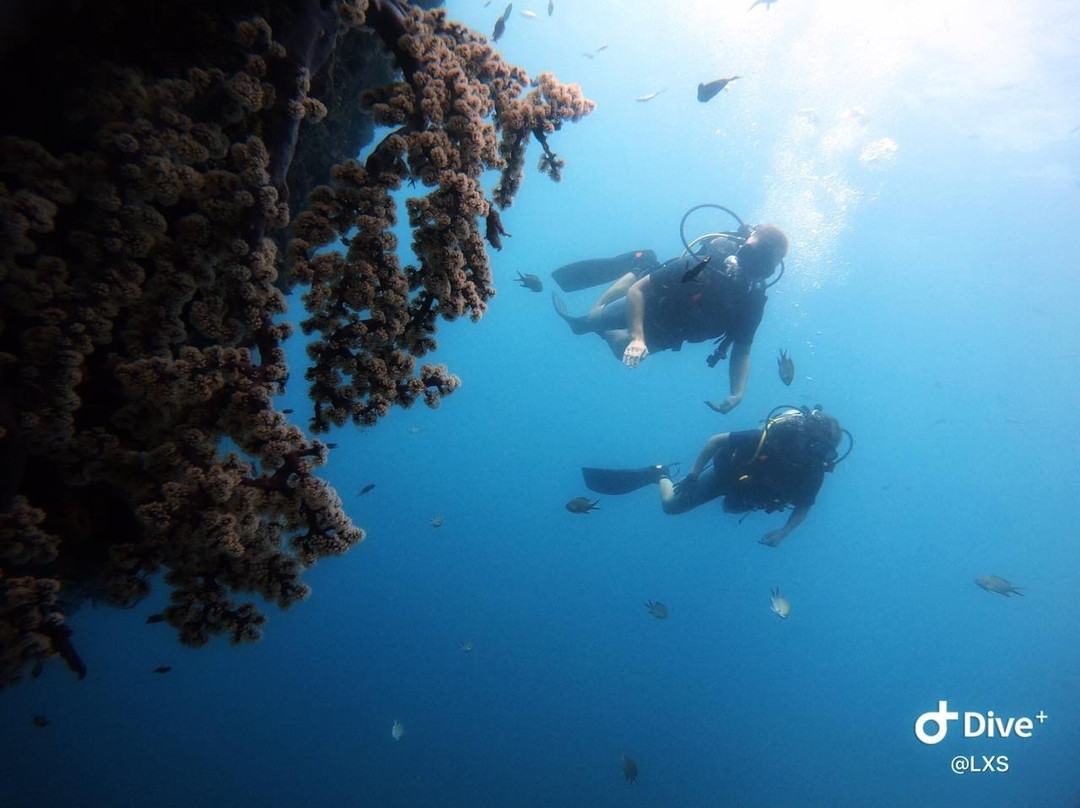 Bali Dive Trek景点图片