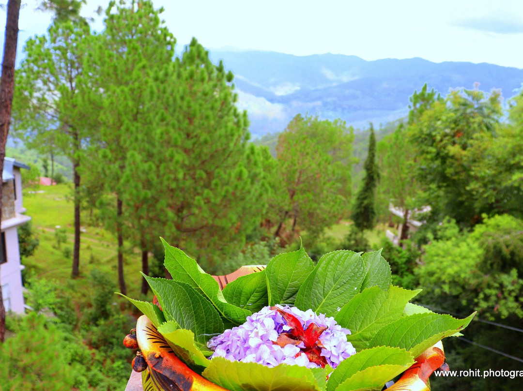 Roseville Cottage主图