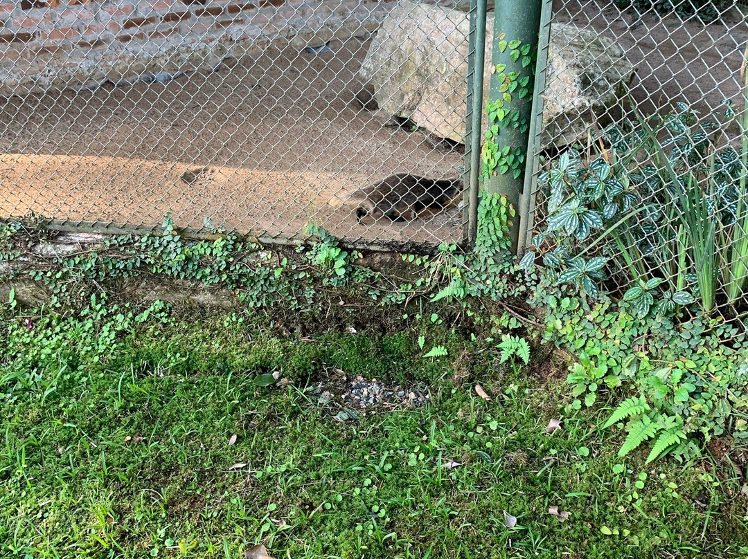 Parque Zoobôtanico-Joinville必去景点