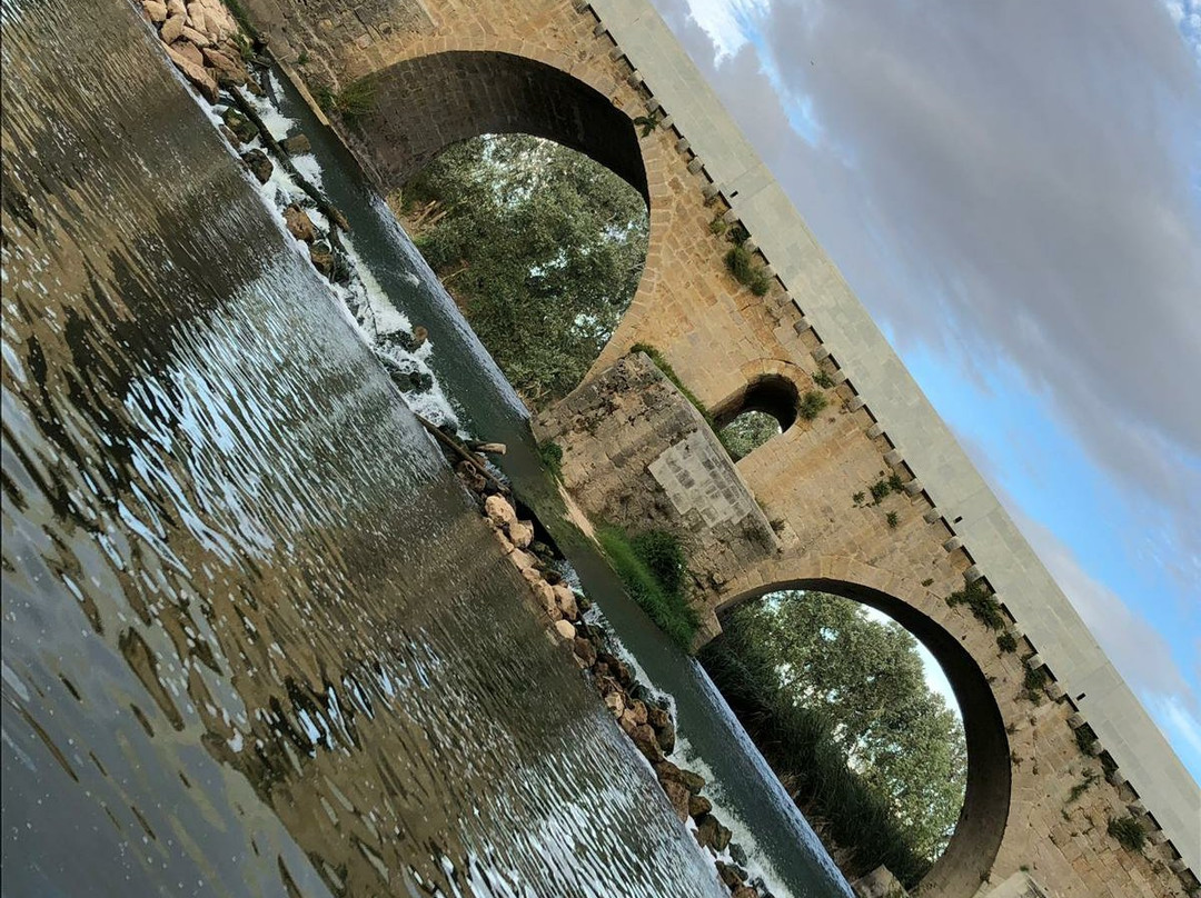 Puente Mayor de Toro景点图片