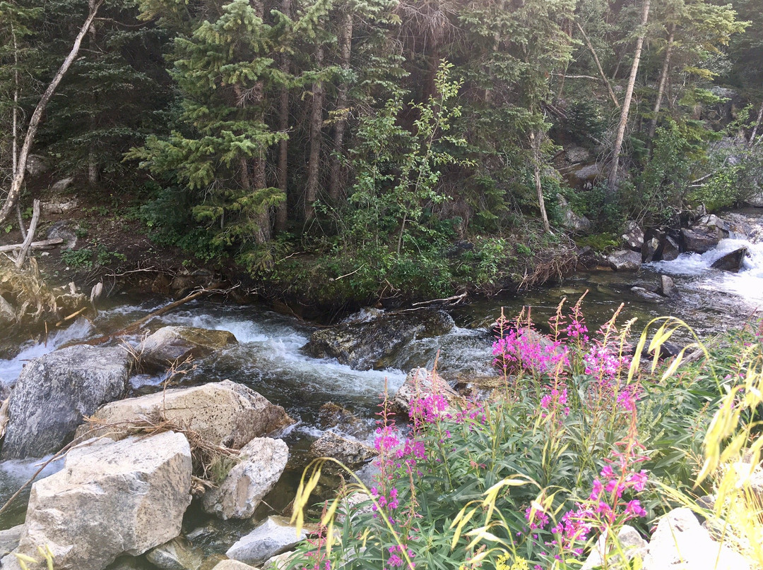 North Tenmile Trail #37-弗里斯科必去景点