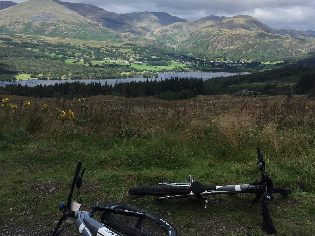 Grizedale Mountain Bikes景点图片