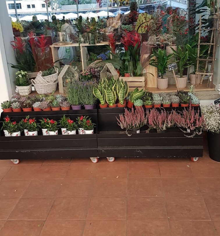 Mercado da Vila - Cascais景点图片