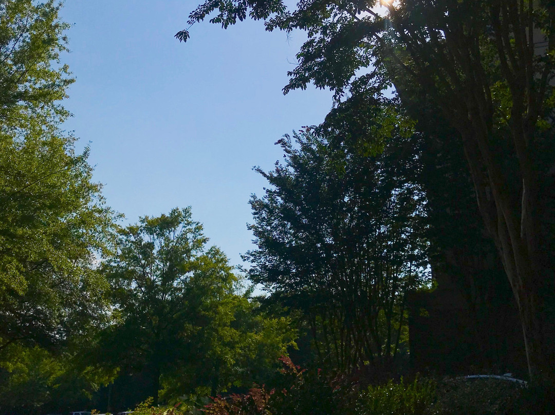 亚特兰大阿尔法利塔万豪酒店主图