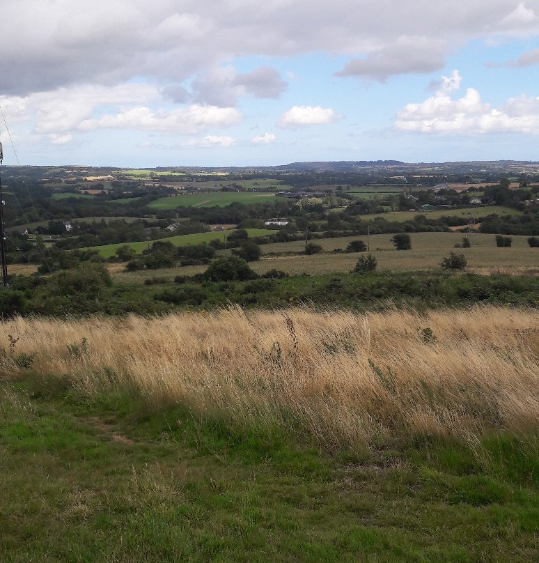 Vinegar Hill-Enniscorthy必去景点