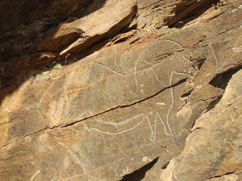 Rock Engravings of Mazouco景点图片