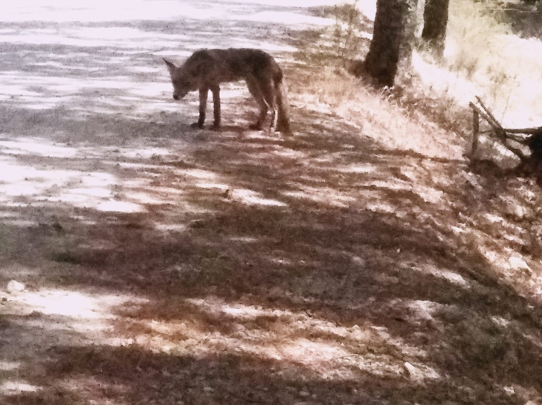eBike Cazorla-卡索拉必去景点