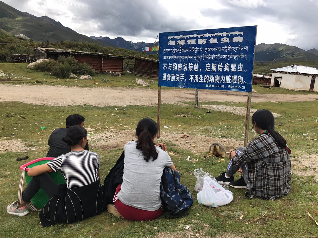 措普沟国家森林公园景点图片