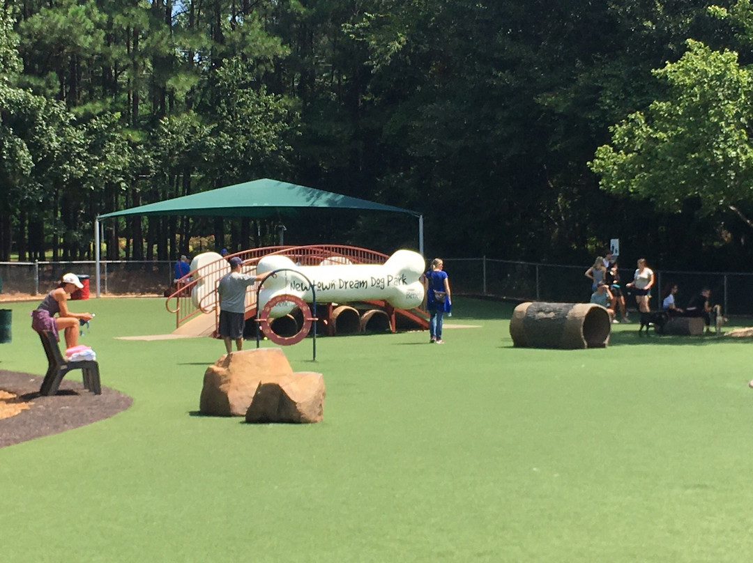 Newtown Park-约翰斯克里克必去景点