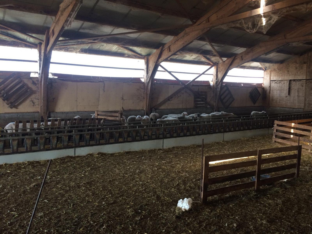 Ferme Auberge La Tindelle主图