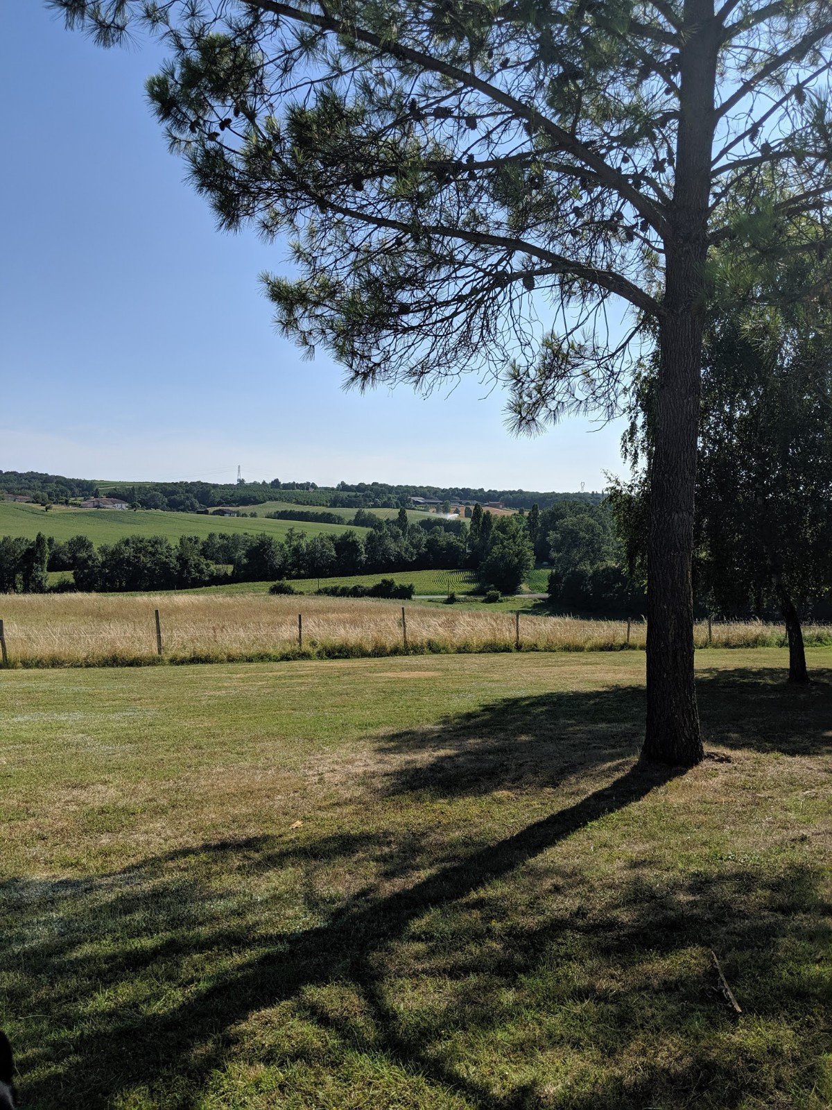Manoir de Gaboria-家庭/游戏区