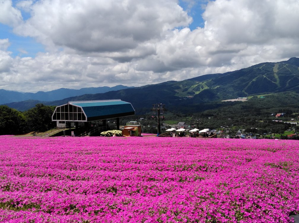 Hirugano Kogen Ski Areas-郡上市必去景点