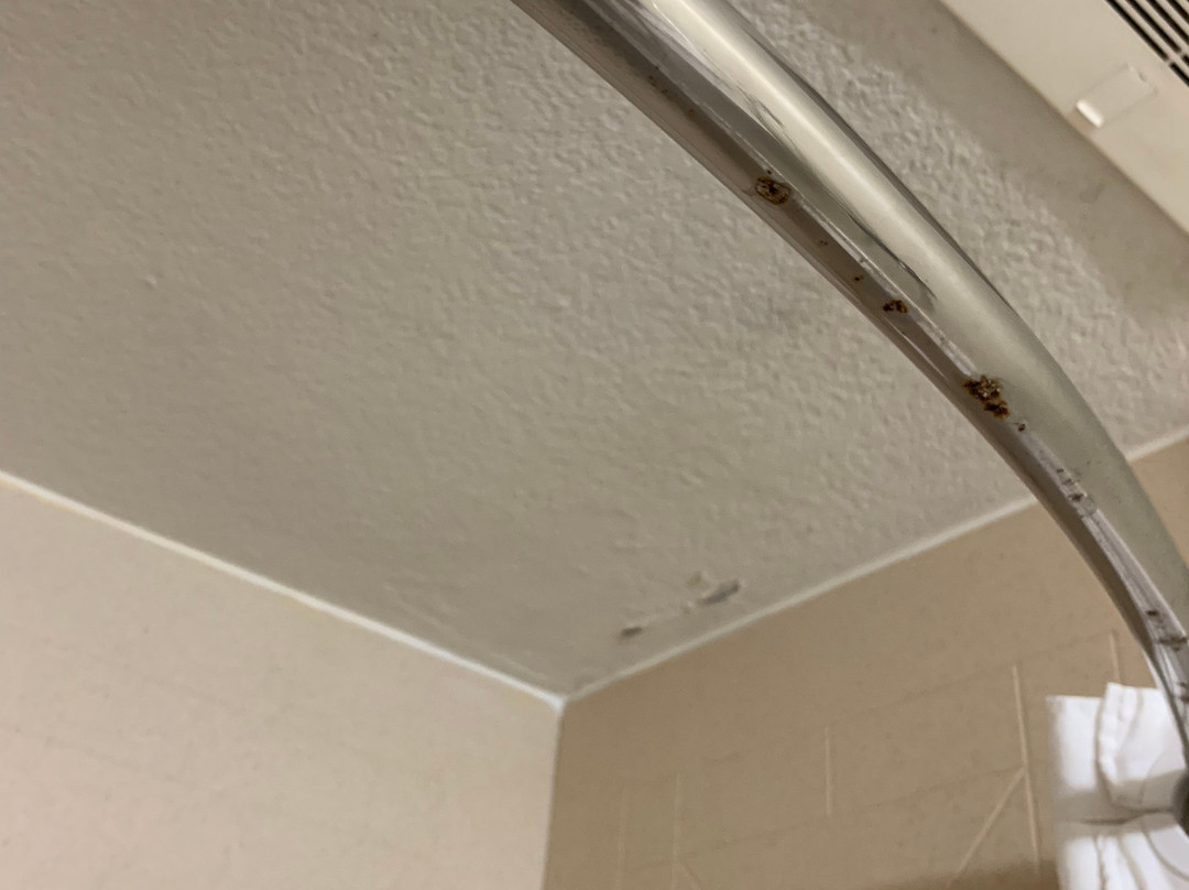 Comfort Inn and Suites主图