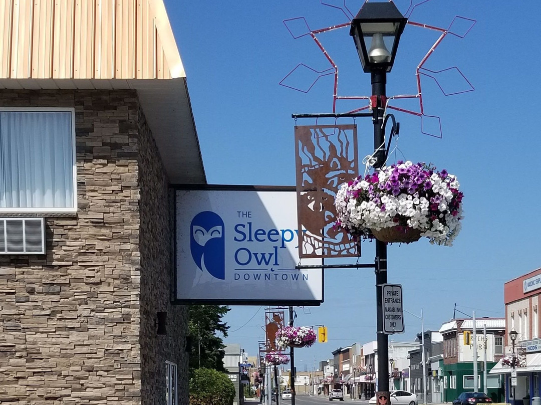 The Sleepy Owl主图