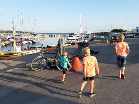 Lerberget酒店住宿-Hamnhotellet I Viken