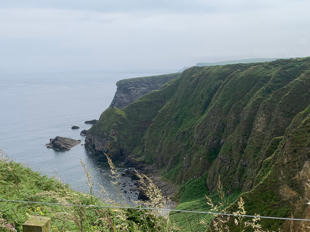 RSPB Troup Head Nature Reserve-Macduff必去景点