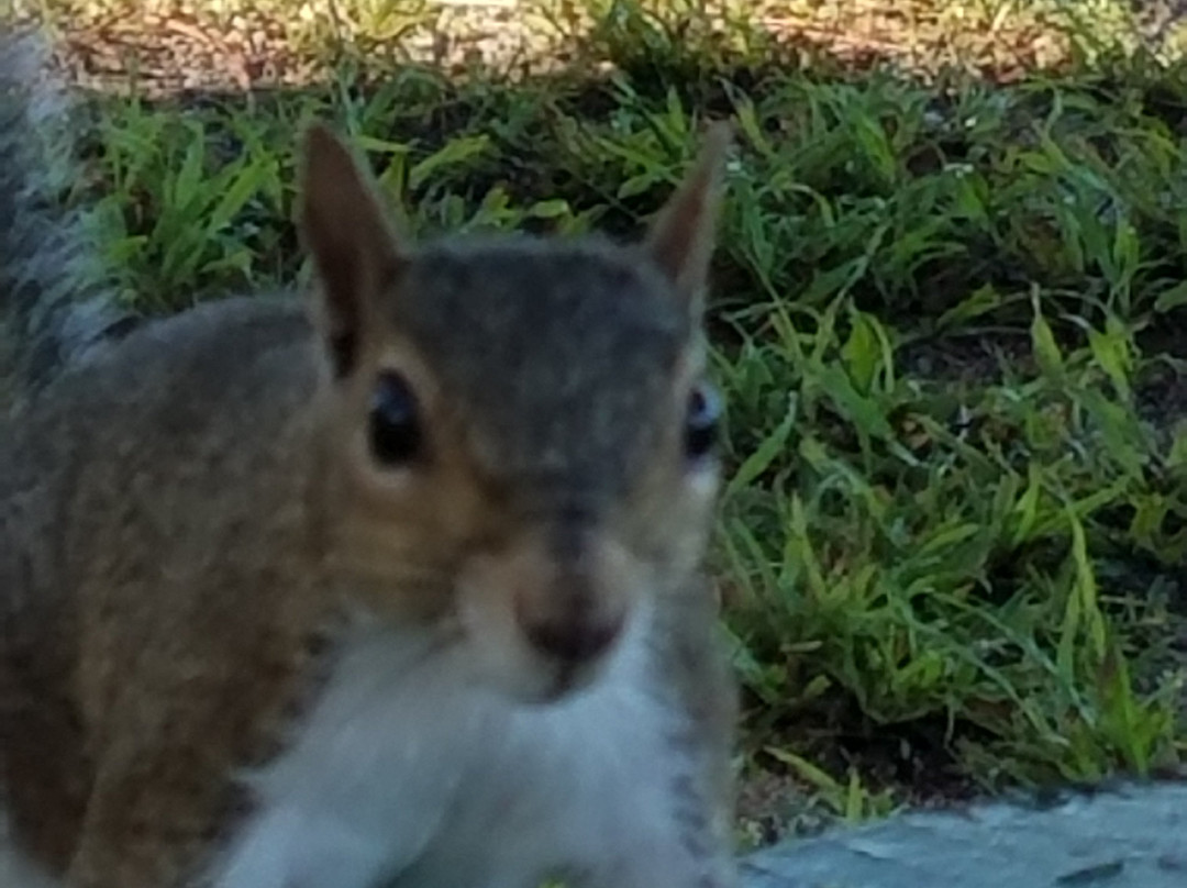 Anclote River Park-Holiday必去景点
