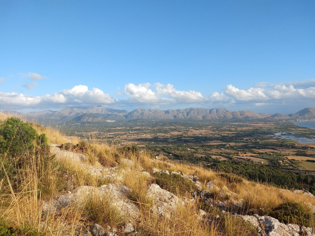 Puig de Sant Marti景点图片
