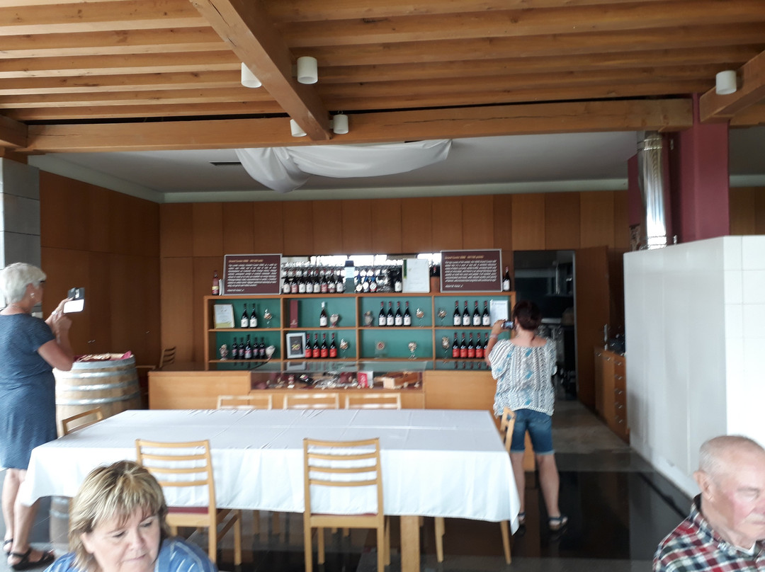Wine cellar Santomas景点图片