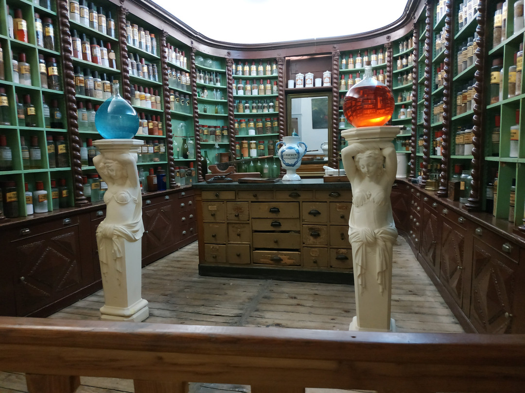 Musée Départemental Albert et Félicie Demard-Champlitte必去景点