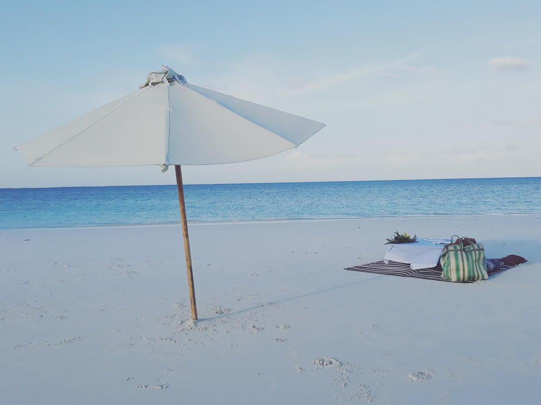 Explore Pemba and Beyond