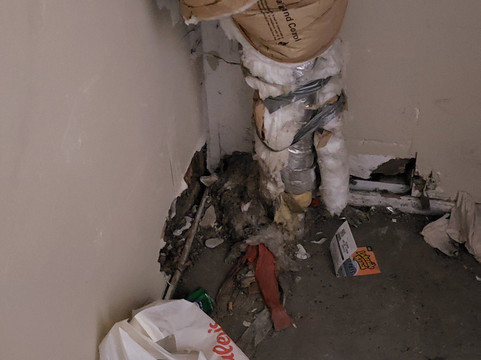 Quality Inn South Lake Tahoe主图