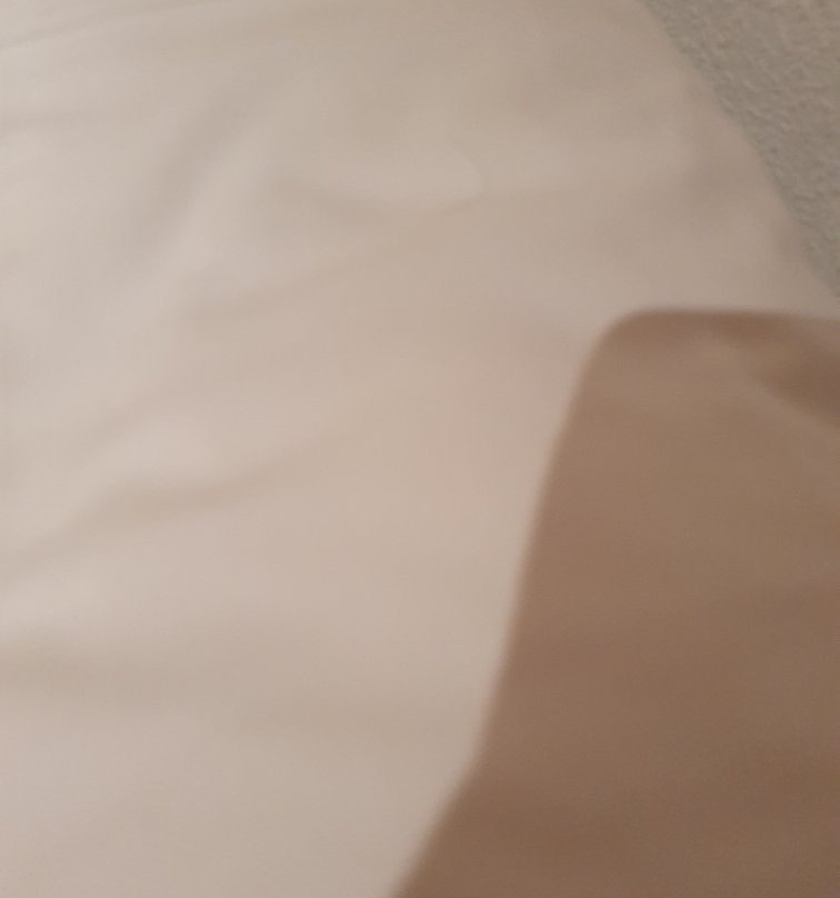 维吉尼亚旅馆主图