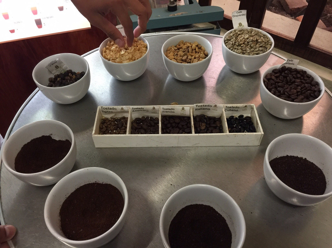 Museo del Café de Chiapas-图斯特拉古铁雷斯必去景点