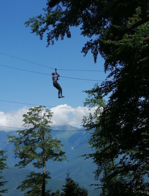Rope Adventure Park-Esto-Sadok必去景点
