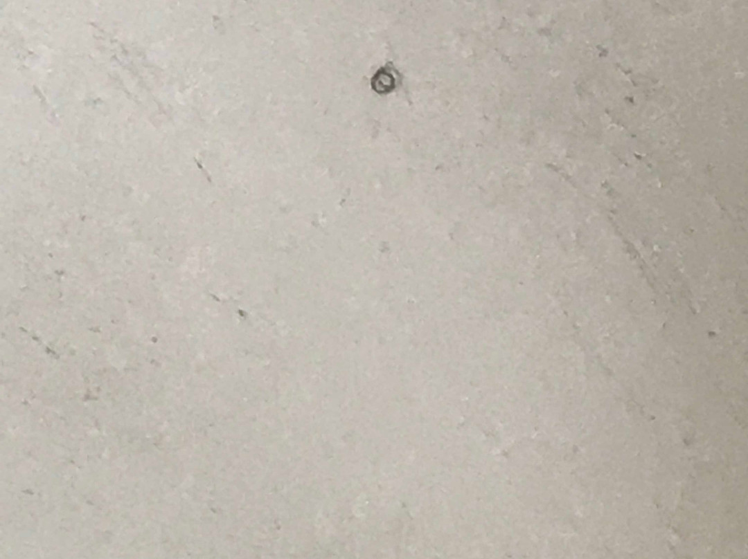 Days Inn By Wyndham Blytheville主图