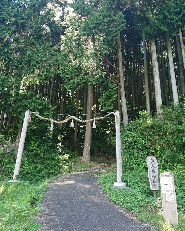 Takamahiko Shrine景点图片