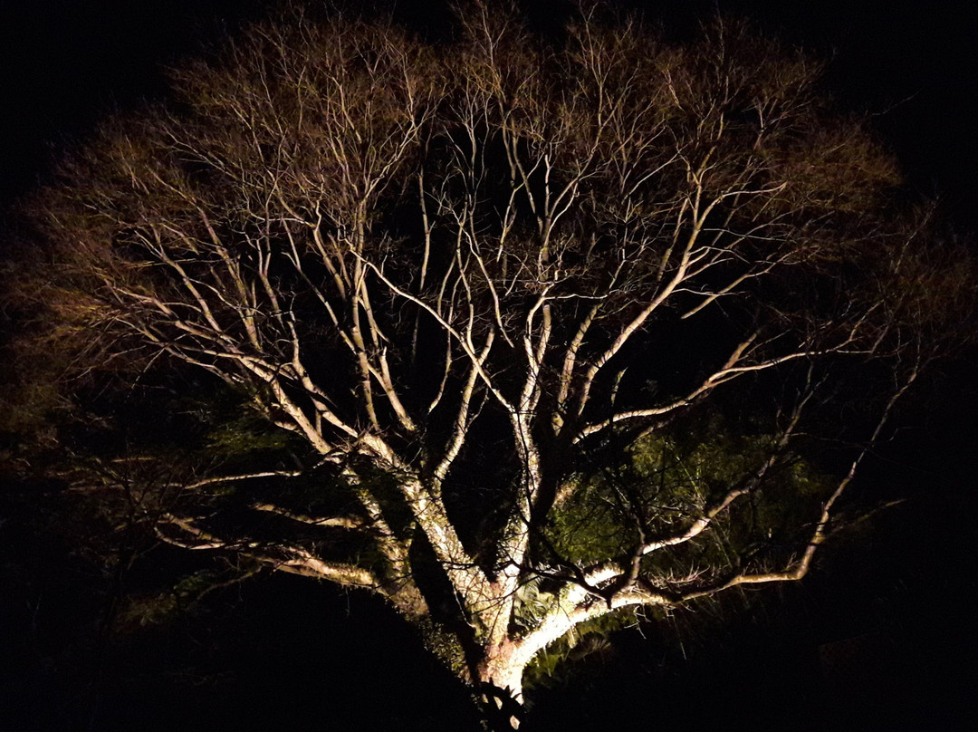 Pousada Rainha Da Mata主图