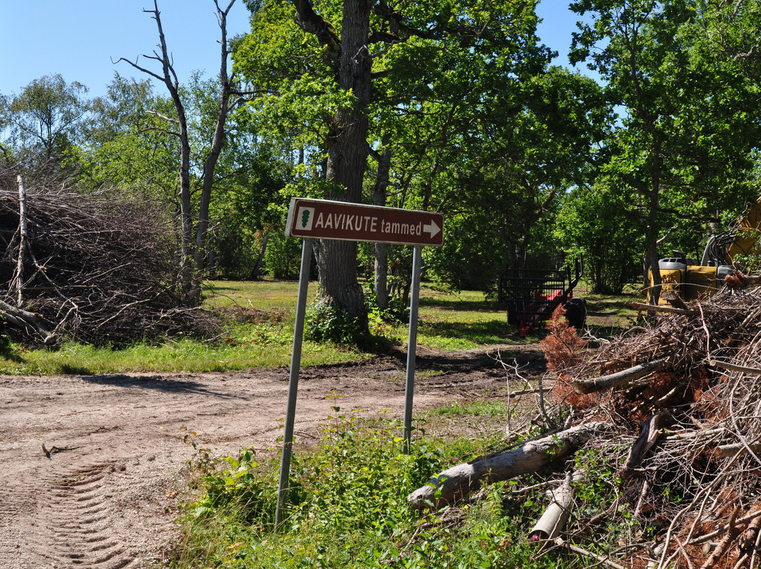 Lahekula旅游攻略图片