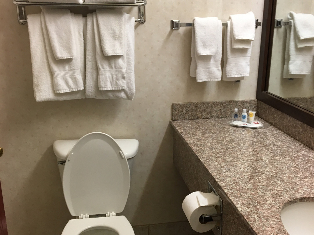 Comfort Suites主图