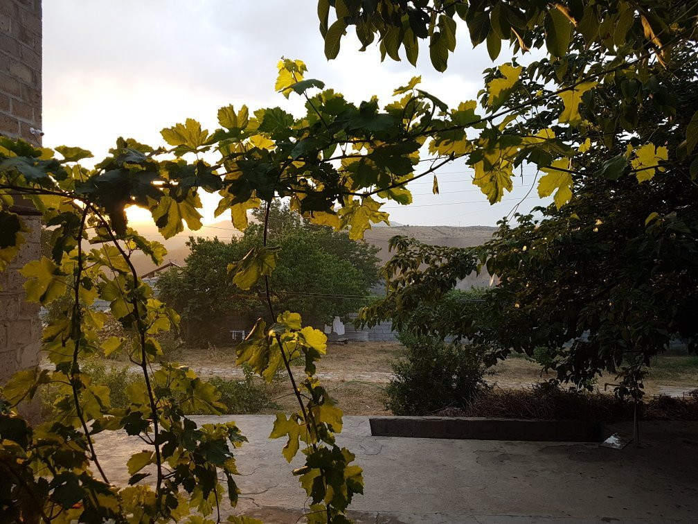 Areni Wine Art主图