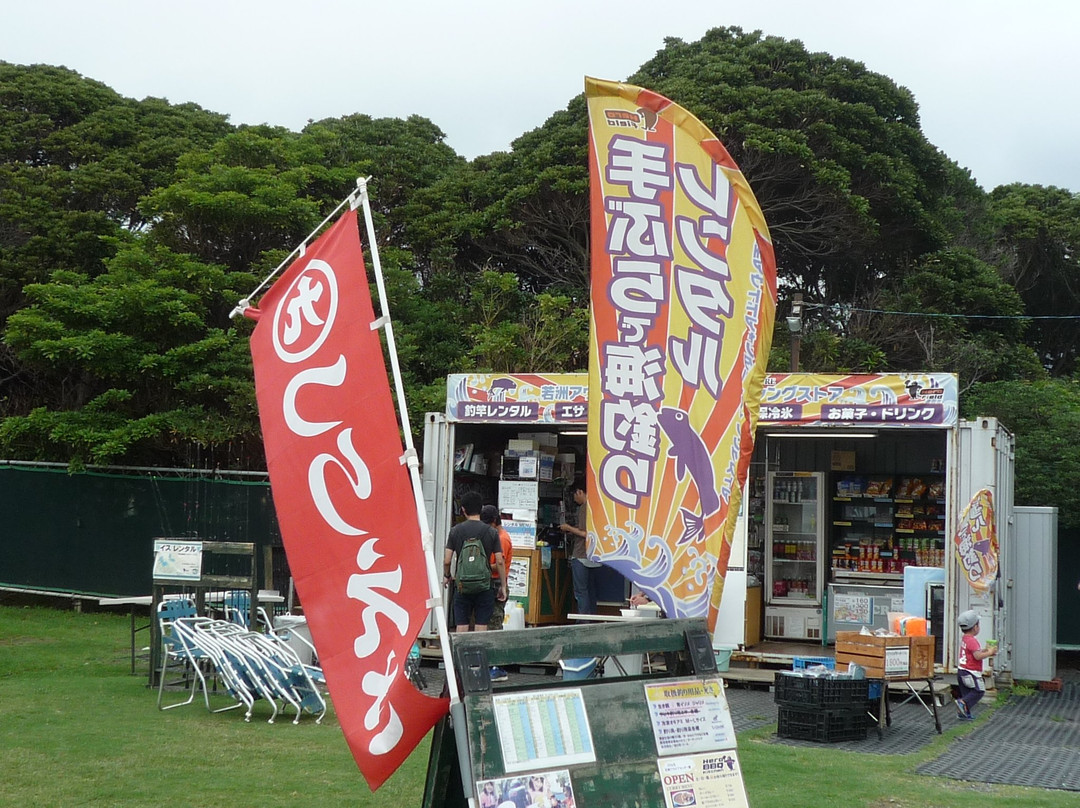 Wakasu Kaihin Park-江东区必去景点