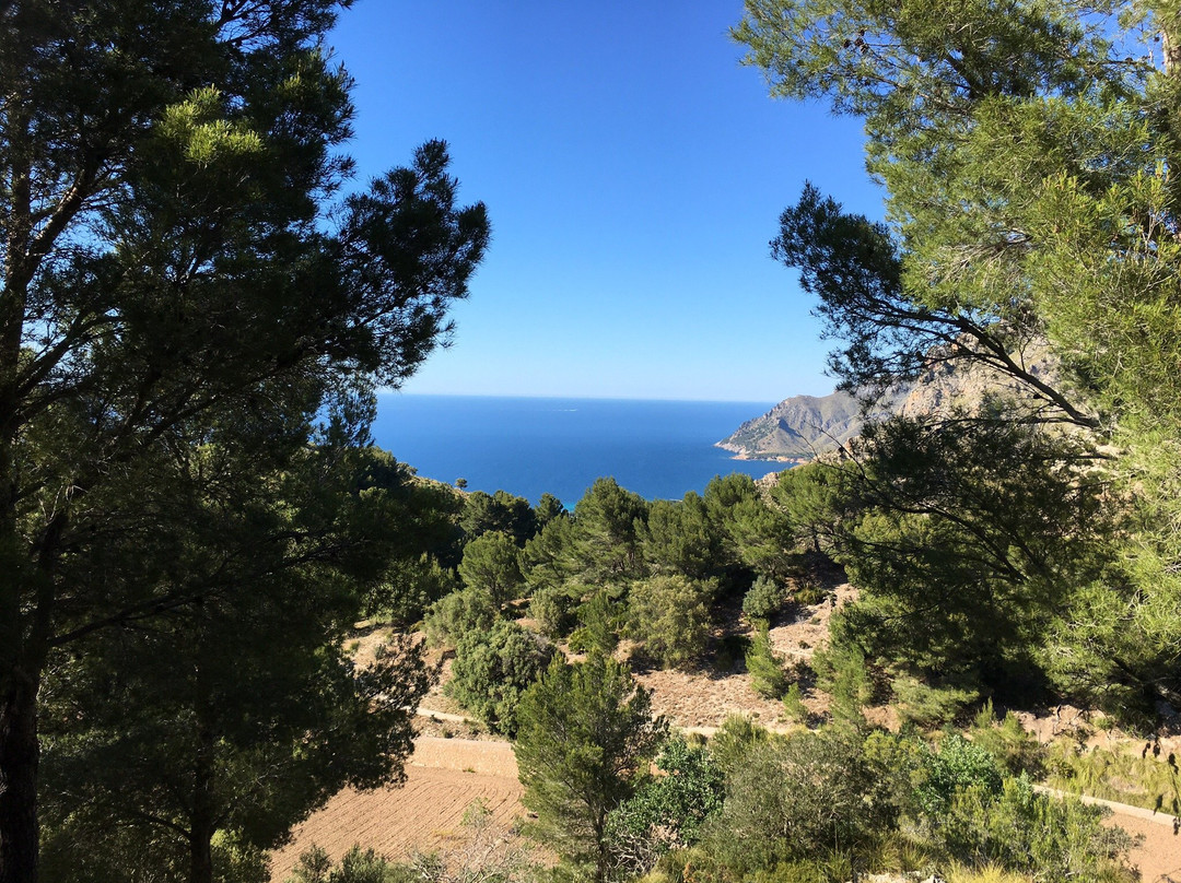Ermita de Betlem-Arta必去景点