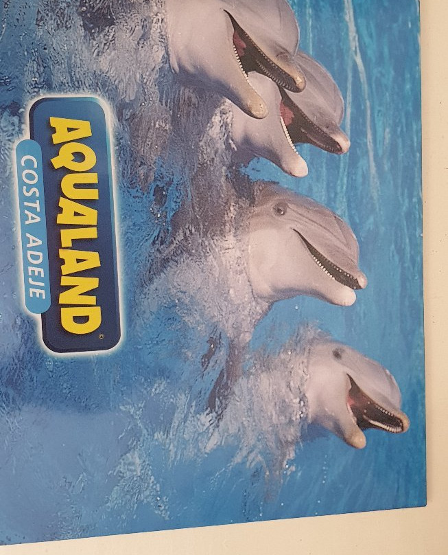 Aqualand Dolphins Encounter-奥德杰海岸必去景点