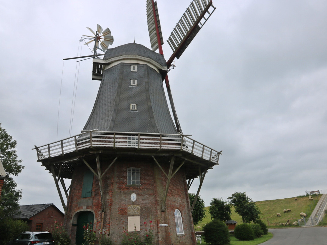 Aschwardener Mühle-Schwanewede必去景点