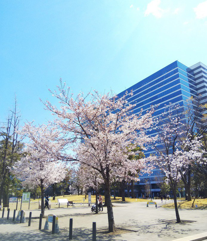 Nakano Shiki no Mori Park-中野区必去景点