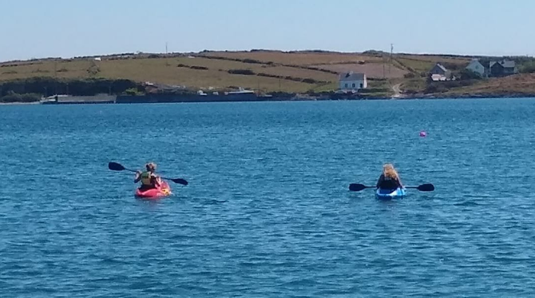 Schull Sea Safari-Schull必去景点