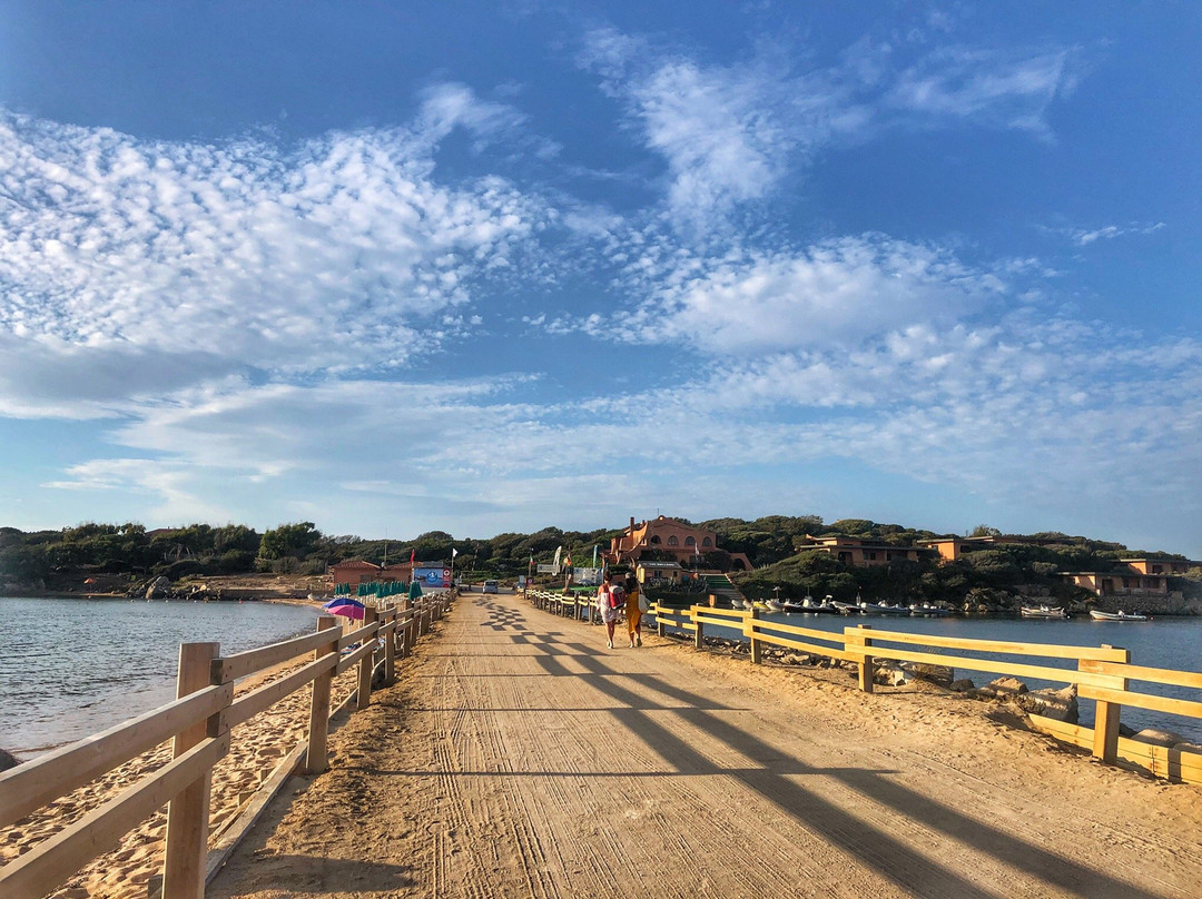Isola dei Gabbiani主图
