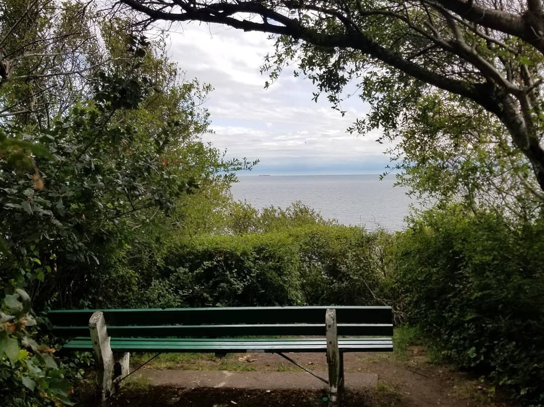 Dallas Road Beach-维多利亚必去景点