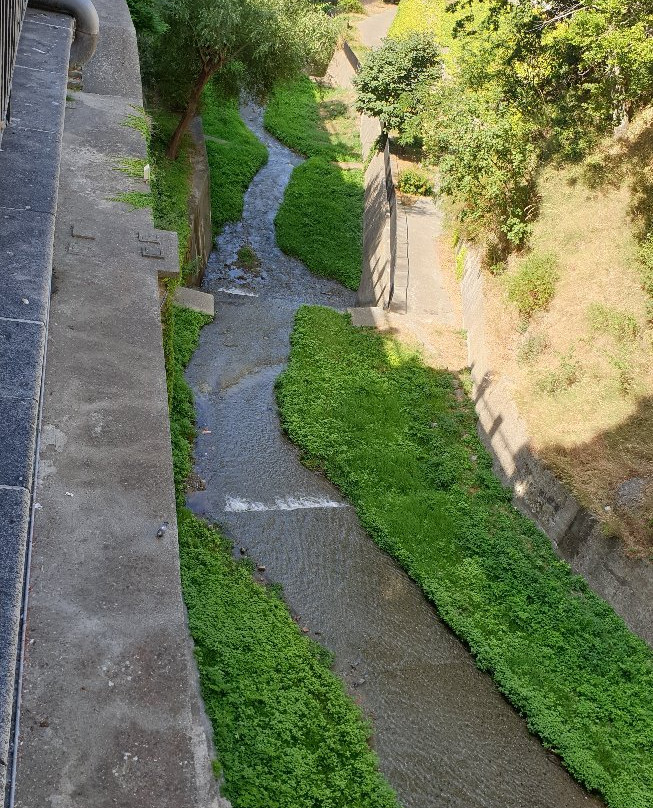 Santuario di San Francesco di Paola景点图片