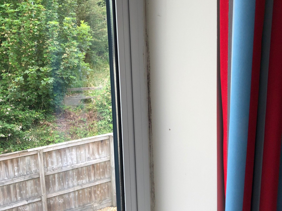Travelodge Pembroke Dock主图