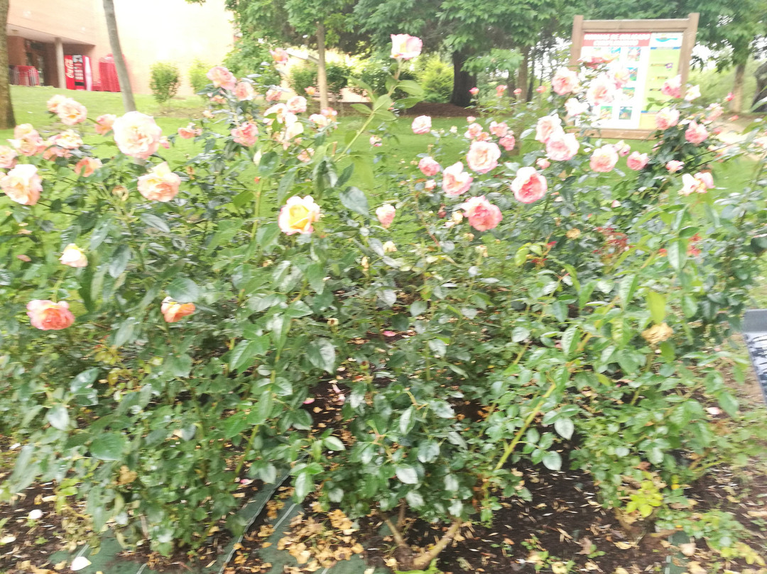 Pantano de La Grajera-洛格罗尼奥必去景点