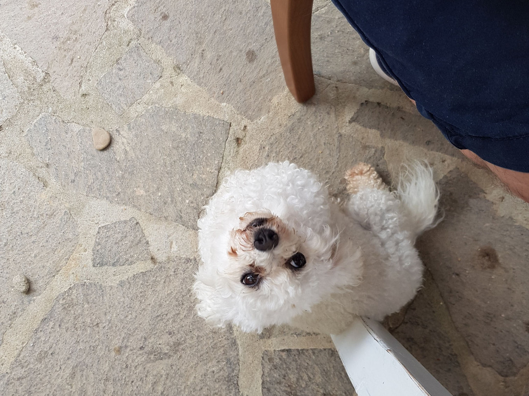 Podere Il Sorriso Degli Angeli主图